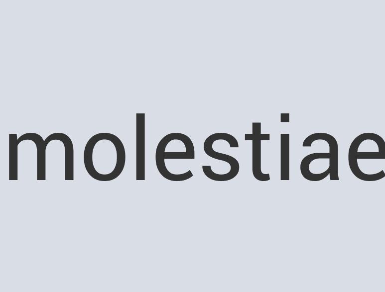 Aerodynamic Granite ZoomZoom